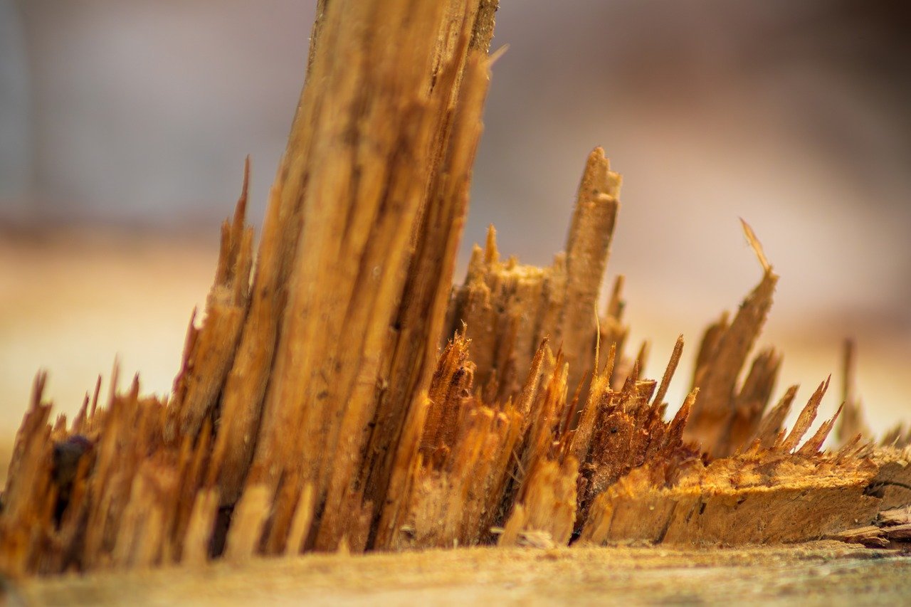 #bois #ébénisterie #création #sur-mesure #massif #agencement #meuble #AD2C agencement mission
